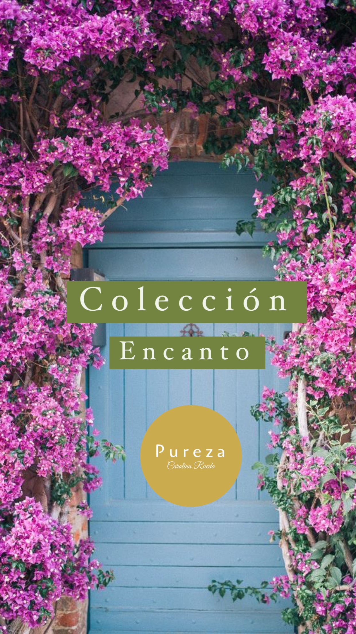 Colección Encanto