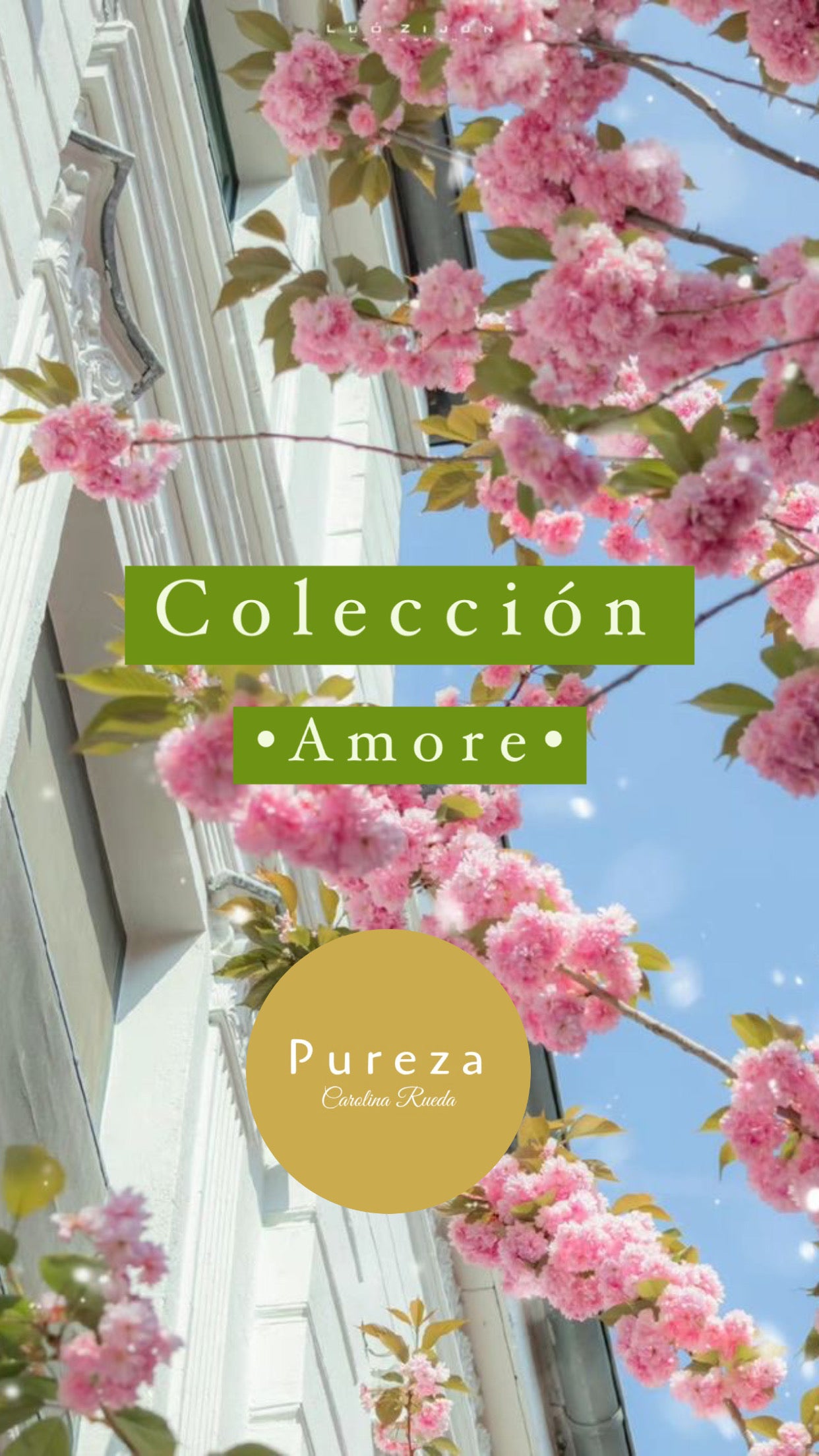 Colección Amore